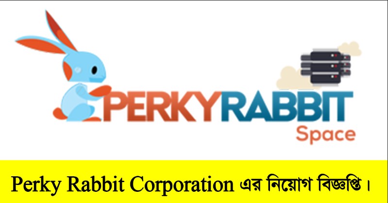 Perky Rabbit Corporation Limited Job Circular 2022