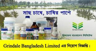 Grindale Bangladesh Limited Job Circular 2022