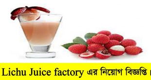 Lichu Juice factory Job Circular 2022