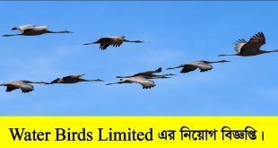 Water Birds Limited Job Circular 2022