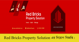 Red Bricks Property Solution Job Circular 2022