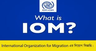 International Organization for Migration Job Circular 2023