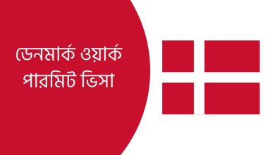 ডেনমার্ক ওয়ার্ক পারমিট ভিসা