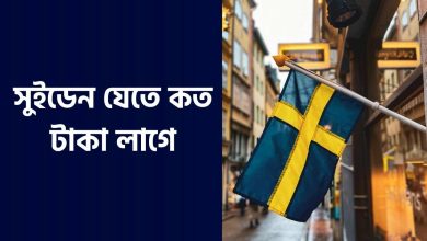 সুইডেন যেতে কত টাকা লাগে