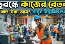 তুরস্ক কাজের বেতন