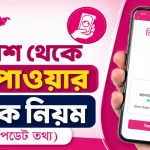 বিকাশ থেকে ঋণ.png